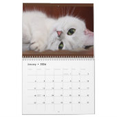 Foto's van Cats & Kittens 20XX Agenda Kalender (Jan 2026)