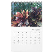 foto's van Chloe's kunststudio tuin, Kalender 2026 (Feb 2026)