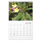 foto's van Chloe's kunststudio tuin, Kalender 2026 (Jan 2026)