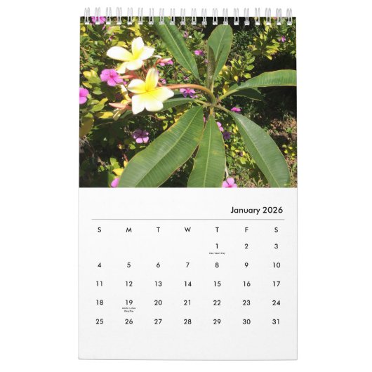 foto's van Chloe's kunststudio tuin, Kalender 2026 (Jan 2026)