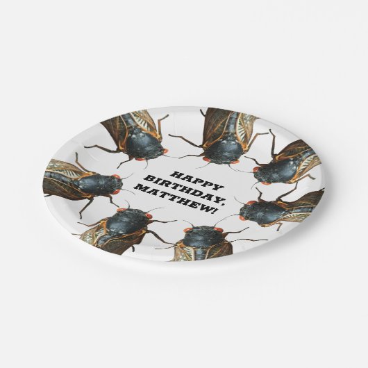 Foto's van Cicadas Bugs, Insecten Gepersonaliseerd Papieren Bordje (Gekanteld)