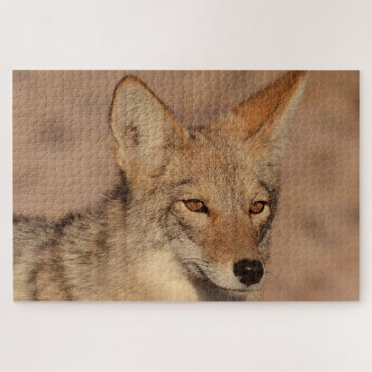 Foto's van coyote in Nevada Legpuzzel (Horizontaal)