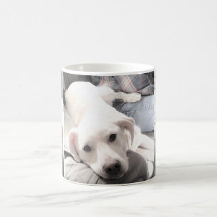 Foto's van Cute White Dog Hanging Out with Dad Cof Koffiemok