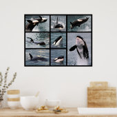 Foto's van dodelijke walvissen poster (Keuken)