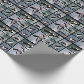 Foto's van dodelijke walvissen poster cadeaupapier (Hoek)