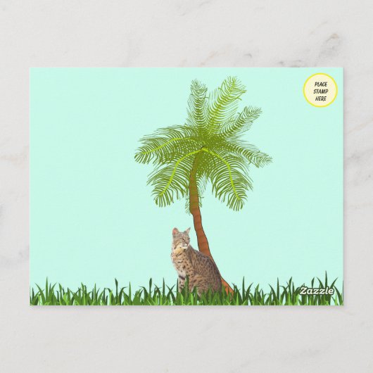 Foto's van een bobcat in Florida Briefkaart (Achterkant)