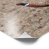 Foto's van faasant foto afdruk (Hoek)