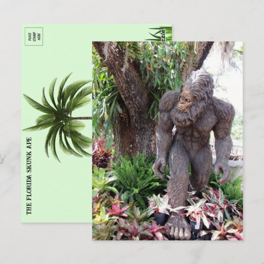 Foto's van Florida Skunk Ape Briefkaart (Voorkant / Achterkant)