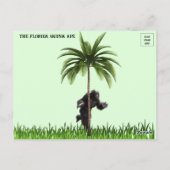 Foto's van Florida Skunk Ape Briefkaart (Achterkant)
