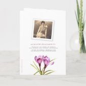 Foto's van het paarse kroonprogramma waterverf programma (Achterkant)