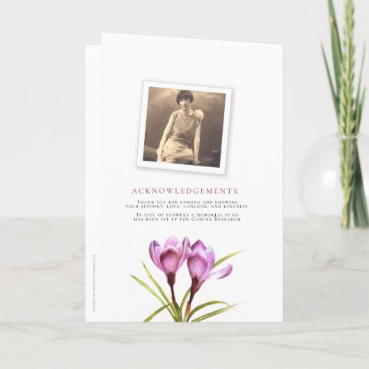 Foto's van het paarse kroonprogramma waterverf programma (Achterkant)