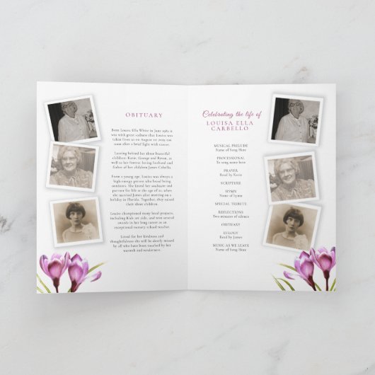 Foto's van het paarse kroonprogramma waterverf programma (Binnen)