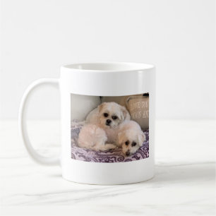 Foto's van honden Cute Maltese en Shih Tzu Koffiemok