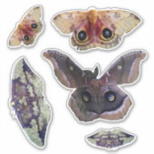 Foto's van Indiana Moth Sticker (Voorkant)