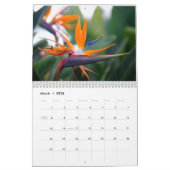 Foto's van Kaui met natuur Kalender (Mar 2026)