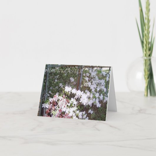 Foto's van McLairArt N Art Easter Notecards Feestdagen Kaart (Voorkant)