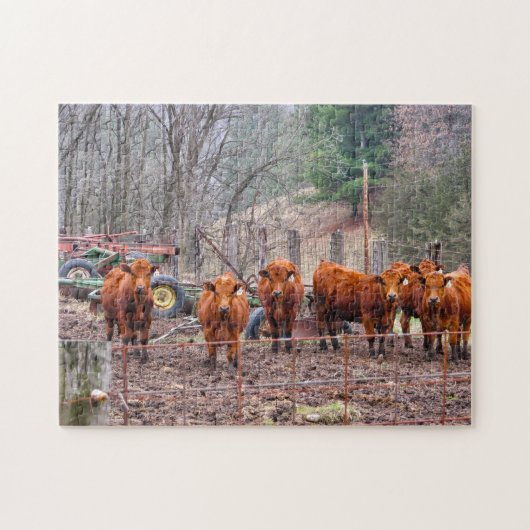 Foto's van Minnesota-kalveren. Legpuzzel (Horizontaal)