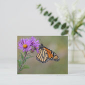 Foto's van Monarch Butterfly Briefkaart (Staand voorkant)