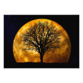 Foto's van Moon Midnight Foto Afdruk (Voorkant)