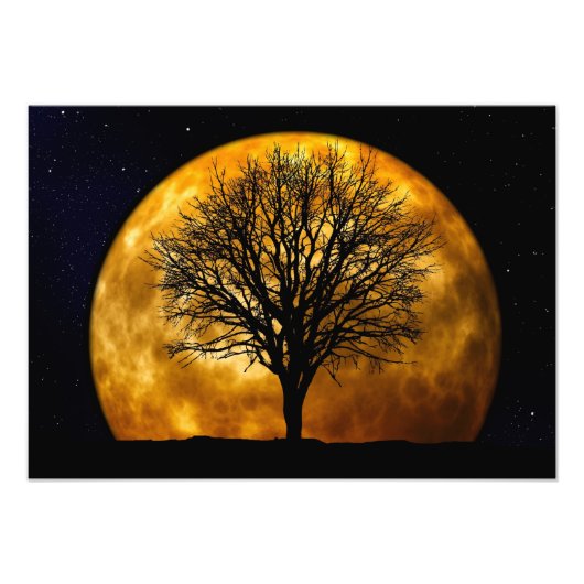 Foto's van Moon Midnight Foto Afdruk (Voorkant)