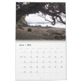 Foto's van Nieuw-Zeeland Kalender (Mar 2026)