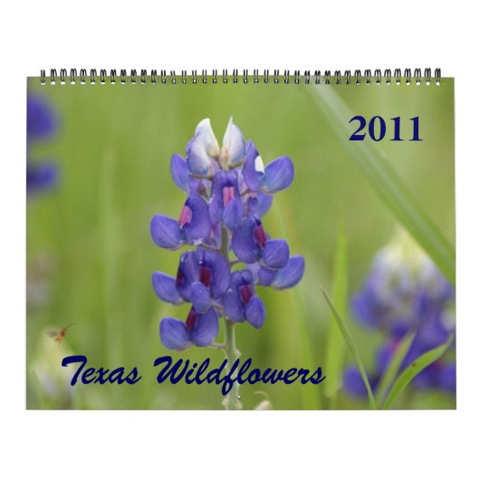 Foto's van Noord-Centraal Texas Wildbloemen Kalender (Hoes)