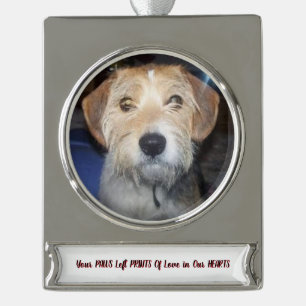 Foto's van PAWS OF GRACE Cherished Memories Verzilverd Banner Ornament