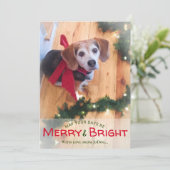Foto's van Pet & Family Merry & Bright Kerstmis Feestdagenkaart (Staand voorkant)