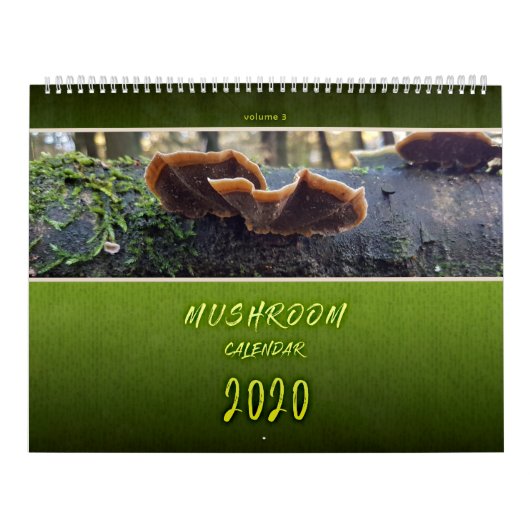 FOTO'S VAN PIENPANO'S KALENDER (Hoes)