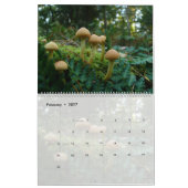 FOTO'S VAN PIENPANO'S KALENDER (Feb 2027)