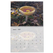 FOTO'S VAN PIENPANO'S KALENDER (Mar 2027)