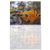 FOTO'S VAN PIENPANO'S KALENDER (Jan 2027)