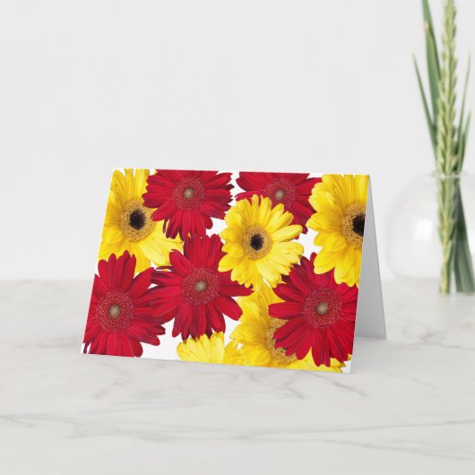 Foto's van Red and Yellow Gerber Daisy, gepersonal Kaart (Voorkant)