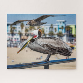 Foto's van Seagull van Portret, Legpuzzel