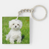 Foto's van uw huisdier Hemelse Memorial Sleutelhanger (Achterkant)