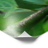 Foto's vergroten foto afdruk (Hoek)