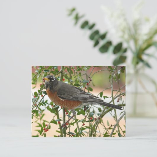 Foto's : vogels - briefkaart (Staand voorkant)