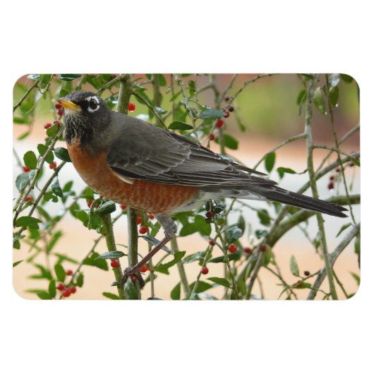 Foto's: vogels - magneet (Horizontaal)