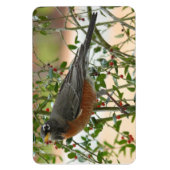 Foto's: vogels - magneet (Verticaal)