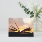 Foto's voor open boek en zonneschijn briefkaart (Staand voorkant)
