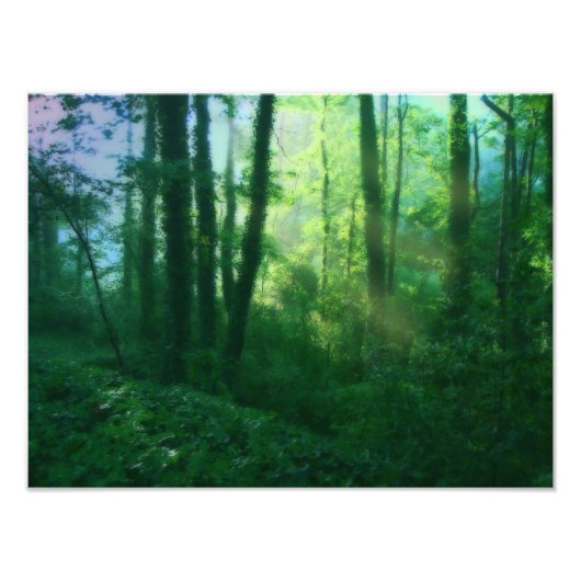 Foto's voor vruchtbaarheid foto afdruk (Voorkant)