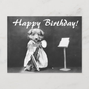 foto's waarop Violin Birthday Briefkaart wordt af