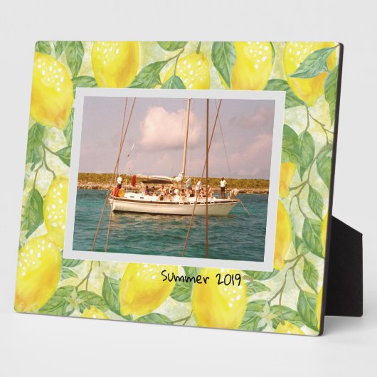 Fotoscherm met achtergrond Lemons Fotoplaat (Zijkant)