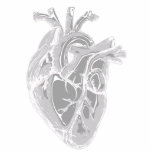 Fotosculptuur van het hart staand fotobeeldje<br><div class="desc">Een gedetailleerd,  realistisch zwart-wit grijs hart voor weergave. CHD maakt het hart een centraal thema in het leven van mensen die door gebreken worden geraakt. Dit beeldhouwwerk is bedoeld voor mensen met een specifieke fascinatie voor dit verbazingwekkende orgaan. afbeelding aangepast van https://pixabay.com/illustrations/heart-nurse-health-body-parts-5079717/ door middel van mandrafbewaring.</div>