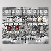 Fotoserie Bomen op zwart-wit digitale kunst Poster (Voorkant)