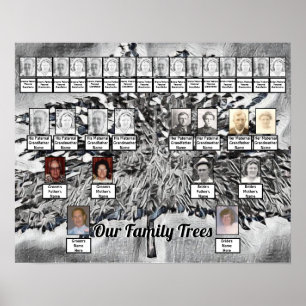 Fotoserie Bomen op zwart-wit digitale kunst Poster