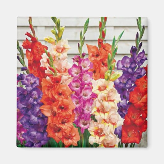 Fotosjabloon 2 x 2 Square koelkast Magnet (Voorkant)