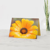 Fotosjabloon van lente Flash African Daisy Close-u Kaart (Voorkant)