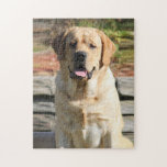 Fotosjabloon voor gezelschapsdieren legpuzzel<br><div class="desc">Pet dog Foto Sjabloon puzzel puzzel</div>