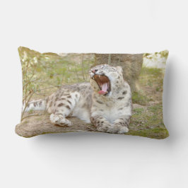 Fotosneeuwblaaskat, dieren, kussen